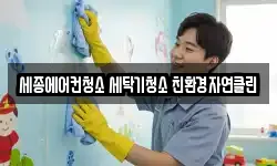 세종에어컨청소 세탁기청소 친환경자연클린