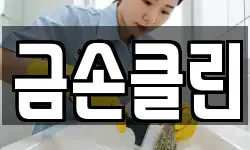 금손클린