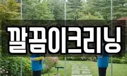 깔끔이크리닝
