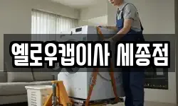 옐로우캡이사 세종점