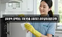 소독방역.외벽청소.기계크린룸.유품정리.사무실청소벌초대행