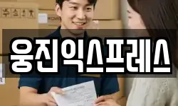 웅진익스프레스