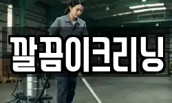 깔끔이크리닝