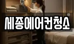세종에어컨청소