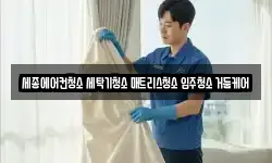 세종에어컨청소 세탁기청소 매트리스청소 입주청소 거둠케어