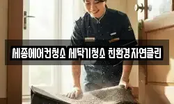 세종에어컨청소 세탁기청소 친환경자연클린