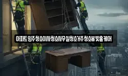 아파트입주청소이사청소사무실청소거주청소봄빛홈케어