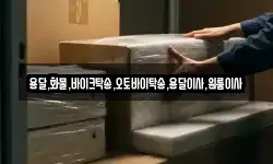 용달,화물,바이크탁송,오토바이탁송,용달이사,원룸이사