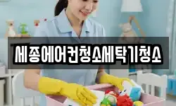 세종에어컨청소세탁기청소