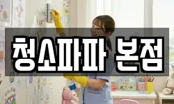 청소파파 본점