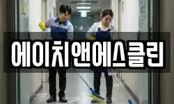 에이치앤에스클린
