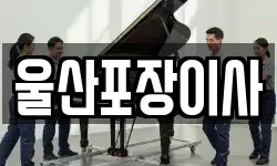 울산포장이사