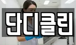 단디클린