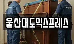 울산대도익스프레스