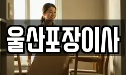 울산포장이사
