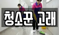 청소꾼 고래