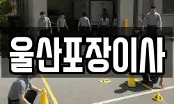 울산포장이사