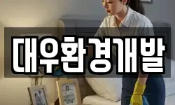 대우환경개발