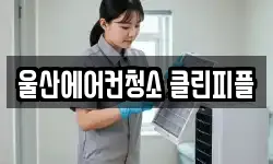 울산광역시 남구 신정동 청소,입주청소,사무실청소,에어컨청소