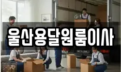 울산용달원룸이사