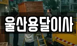 울산용달이사
