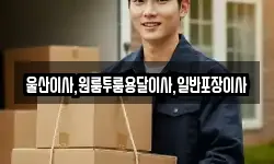 울산이사,원룸투룸용달이사,일반포장이사