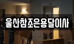 울산참조은용달이사