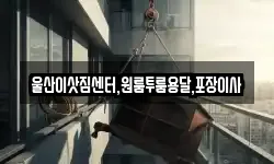 울산이삿짐센터,원룸투룸용달,포장이사