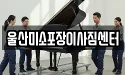 울산광역시 남구 이사,용달이사,포장이사,원룸이사,보관이사