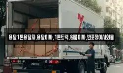 용달1톤용달차,용달이사,1톤트럭,원룸이사,반포장이사화물