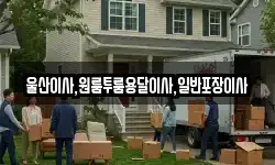울산광역시 동구 동부동 이사,용달이사,포장이사,원룸이사,보관이사