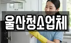울산청소업체
