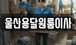 울산용달원룸이사