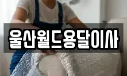 울산광역시 동구 방어동 이사,용달이사,포장이사,원룸이사,보관이사