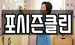 포시즌클린