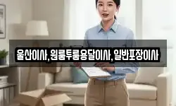 울산이사,원룸투룸용달이사,일반포장이사