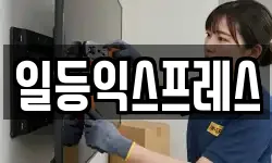 일등익스프레스