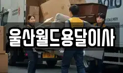 울산월드용달이사