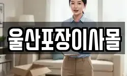 울산포장이사몰