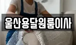 울산용달원룸이사