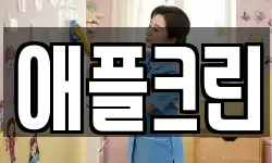 애플크린