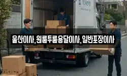 울산이사,원룸투룸용달이사,일반포장이사