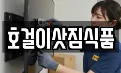 호걸이삿짐식품