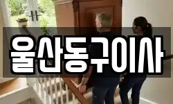 울산동구이사