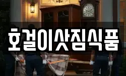 호걸이삿짐식품