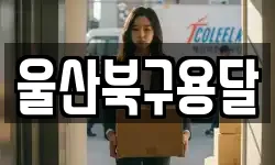울산북구용달