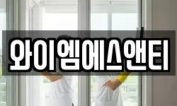 와이엠에스앤티