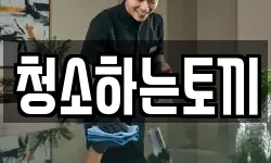 청소하는토끼