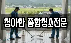 청아한 종합청소전문