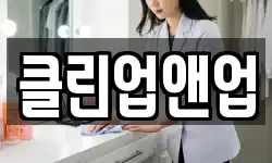 클린업앤업